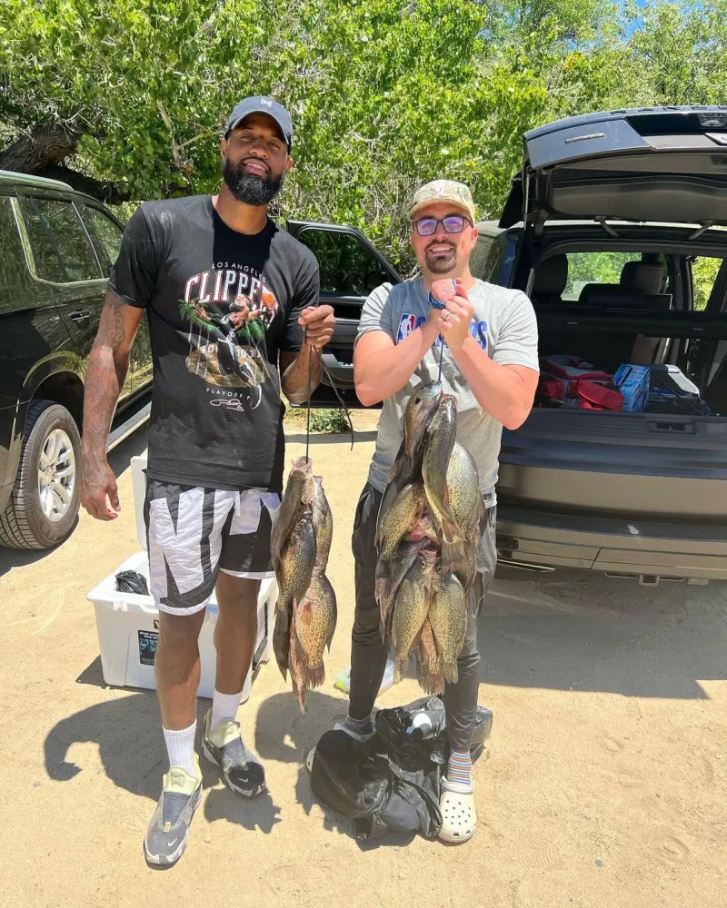 球员安全的 球员安全的